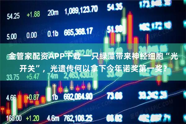 金管家配资APP下载 一只绿藻带来神经细胞“光开关”，光遗传何以拿下今年诺奖第一奖？
